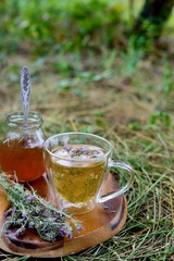 Tea with wild thyme and honey