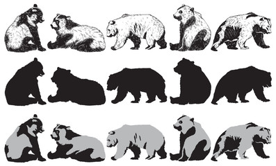 Obraz premium Zestaw niedźwiedzia na białym tle