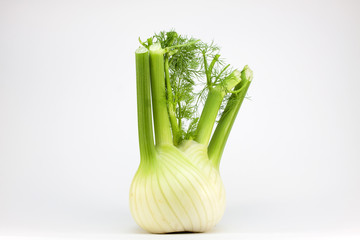 Fennel isolated on white background