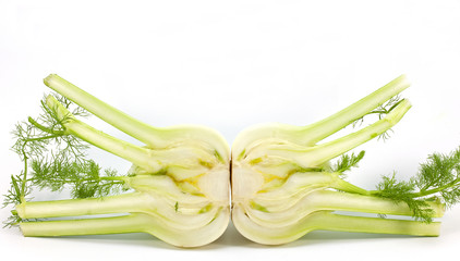 Creative photo of two half venkels isolated on a white background