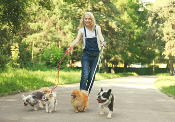 Woman walking dogs in park