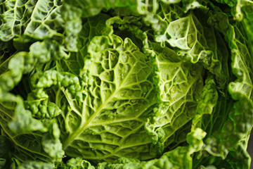 Fresh savoy cabbage, closeup