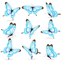 Stof per meter Vlinders kleur vlinders, geïsoleerd op een witte