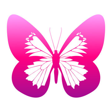 color butterfly,isolated on a white