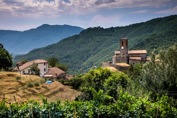 Fototapeta premium Ceserana and the medieval fortress, Garfagnana, Tuscany, Italy