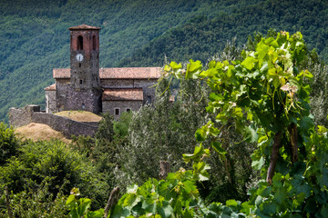 Fototapeta na wymiar Ceserana and the medieval fortress, Garfagnana, Tuscany, Italy