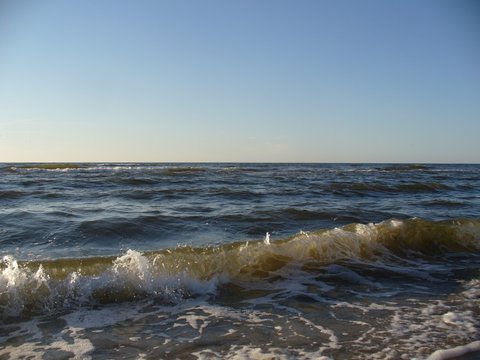 fala