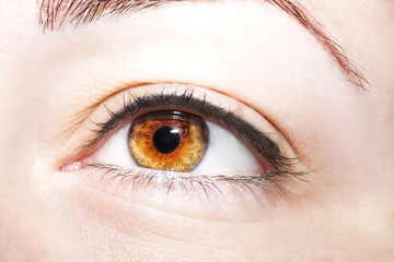 Obraz premium Beautiful insightful look brown woman's eyes