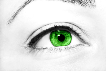 Beautiful insightful look green woman's eyes