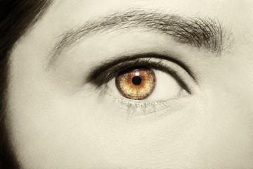 Beautiful insightful look brown vintage woman's eye