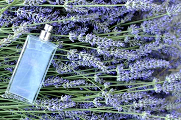 Küchenrückwand glas motiv Lavendel Parfum de lavande