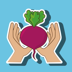 hand food vegan vegetables