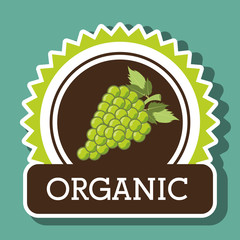 organic food fruit icon