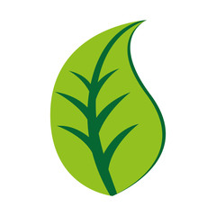 leafs ecology symbol icon