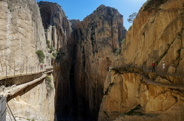 Fototapeta premium The King's little pathway in Malaga, Spain