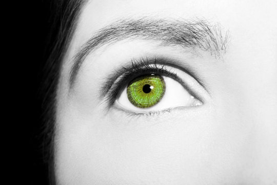 Beautiful insightful look green woman's eye