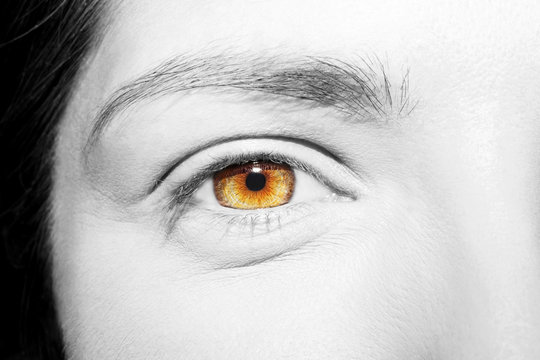 Beautiful insightful look brown woman's eye