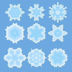 Set of Different  Ornamental Rosettes Isolated on Blue Background