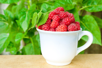 Ripe red raspberries in a bowl