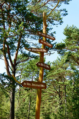 Signpost at the forest.