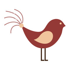 cute bird animal isolated