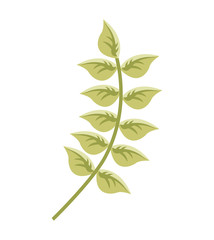 leafs floral nature icon