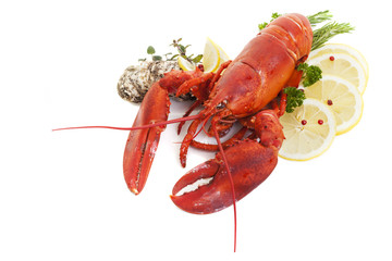 Lobster and Oysters