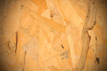 pressed porous wooden boards of different wood background