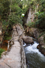 road through the forest and slings in datanla waterfall in dalat