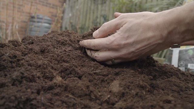 Adult Male Holding And Sieving Through Fresh Compost In Spring