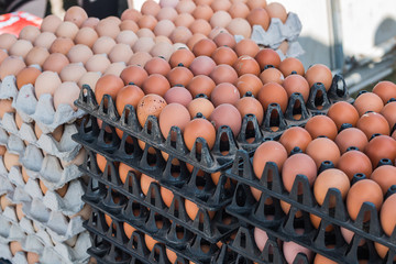 egg in basket