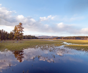 Pelican Creek at sunset next to Yellowstone Lake in Yellowstone National Park in Wyoming USA