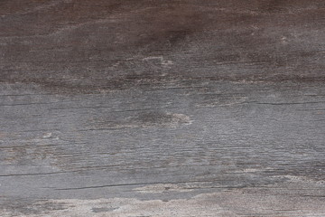 Wooden wall texture, wood background