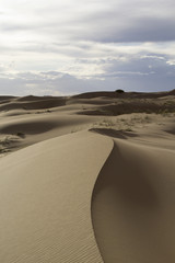 Sand dunes. Gobi Desert, Mongolia