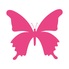 butterfly silhouette pink isolated icon