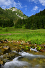 Dolina Kościeliska © Rafał Okraj