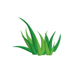green leaf nature organic plant icon. Isolated and flat illustration. Vector graphic