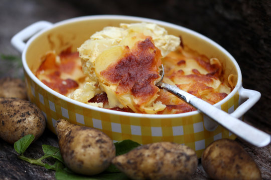 originaler Kartoffelauflauf in der Backform