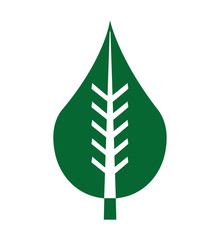 leafs ecology symbol icon