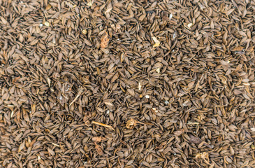 Surface covered with seeds as a backdrop texture