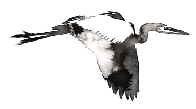 black and white monochrome painting with water and ink draw crane bird illustration