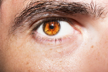 Image of man's brown eye close up.