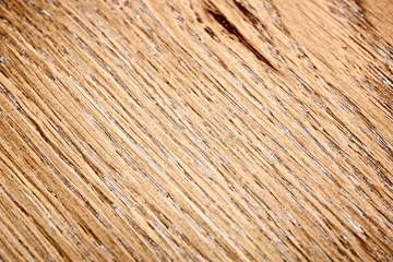Wooden Oak Texture