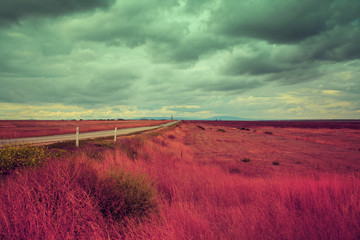 Vintage rural dirt road in the field with cloudy sky