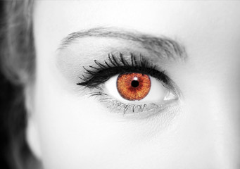 Beautiful insightful look brown woman's eyes