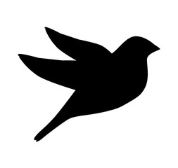 cute bird animal isolated