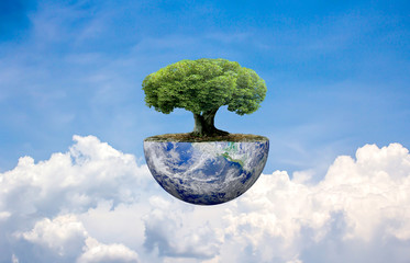 Tree on Earth globe