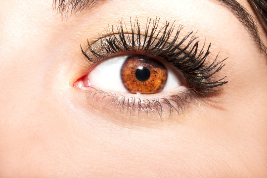 Woman brown eye with extremely long eyelashes
