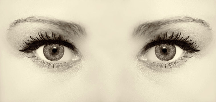 Beautiful insightful look vintage  woman's eyes