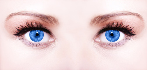 Obraz premium Beautiful insightful look blue woman's eyes